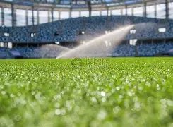 万博体育,平台,产品,万博体育,万博体育官方网站,万博体育在线,万博体育登录,万博体育平台,万博体育下载,万博体育app