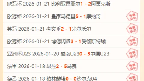 前温网冠军艾玛·拉迪卡努遭遇粉丝惊险突袭