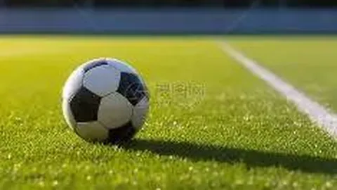 江苏女排客场取胜辽宁，半决赛先下一城